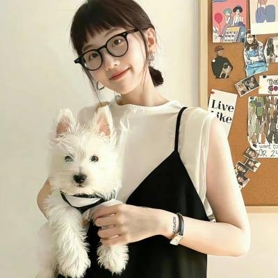 新来的人